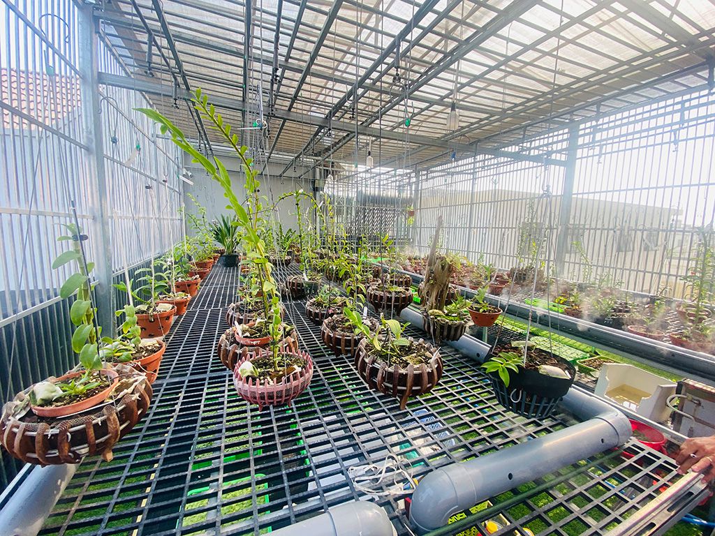 Công an vào cuộc xác minh vụ chủ vườn lan đột biến ôm trăm tỷ bỏ trốn