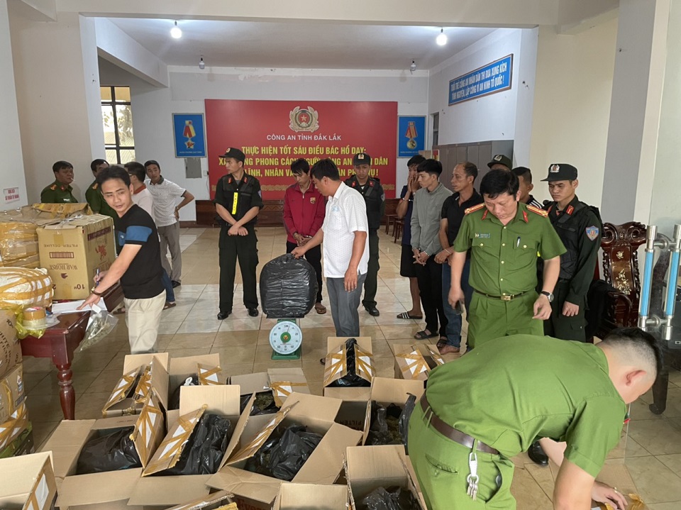 Đắk Lắk Triệt phá đường dây trồng và tiêu thụ cây cần sa quy mô lớn