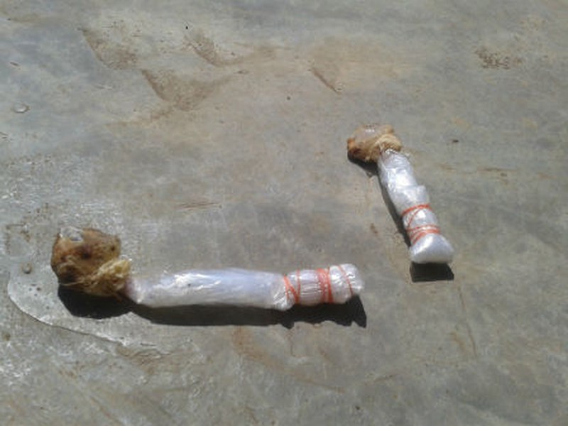 Ăn kẹo bả chó, 2 bé gái 4 tuổi thương vong