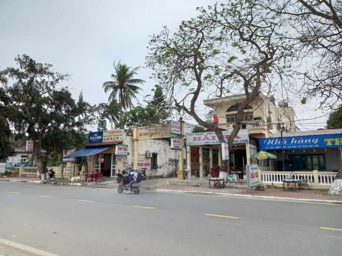 Hải Phòng thí điểm tuyến phố đi bộ tại Đồ Sơn