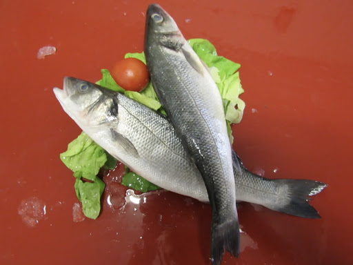 Thị trường thủy sản Anh Doanh số bán lẻ cá tra giảm 8%, cá ngừ và tôm tăng