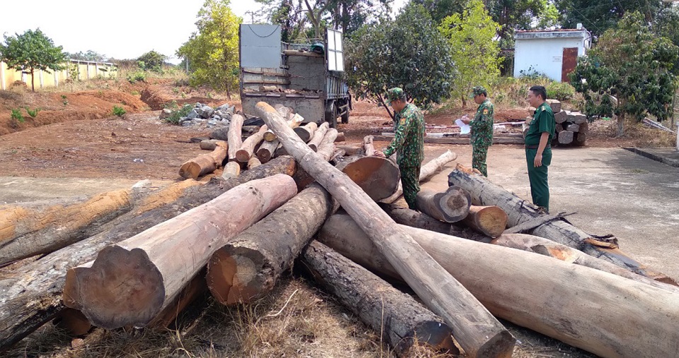 Gia Lai Bắt giữ vụ vận chuyển hơn 4,6 m3 gỗ trái phép