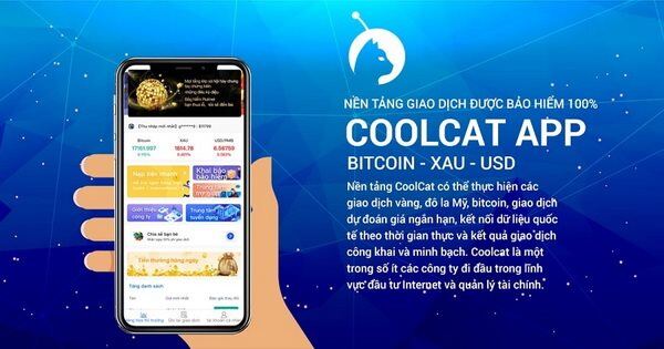 Sập sàn đầu tư Coolcat, người chơi lo mất tiền tỉ