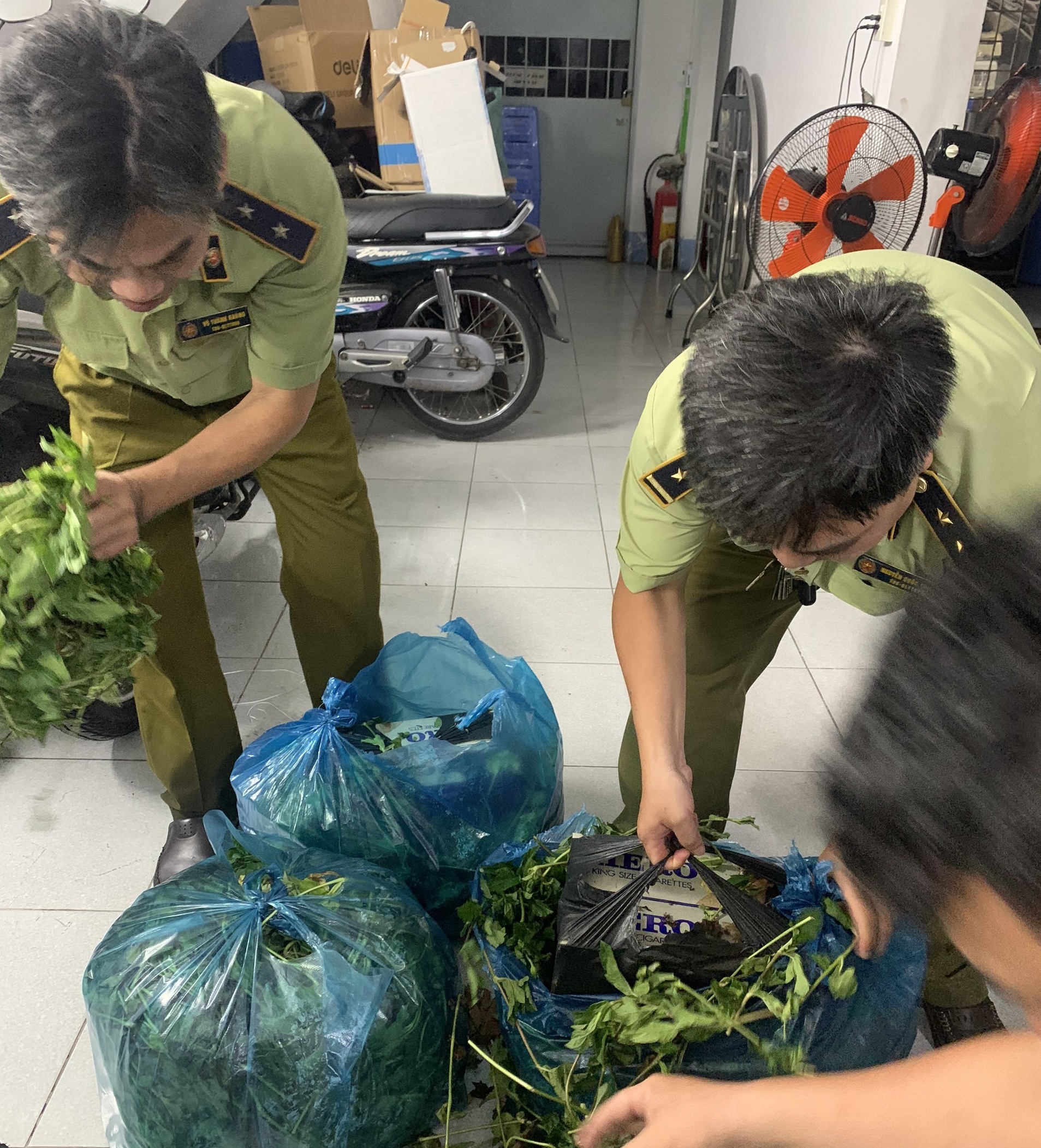 Hàng nghìn bao thuốc lá ngoại nhập lậu ngụy trang bên trong các bó rau