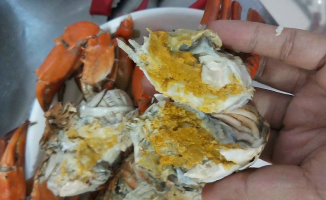 Giá cua gạch cao kỷ lục