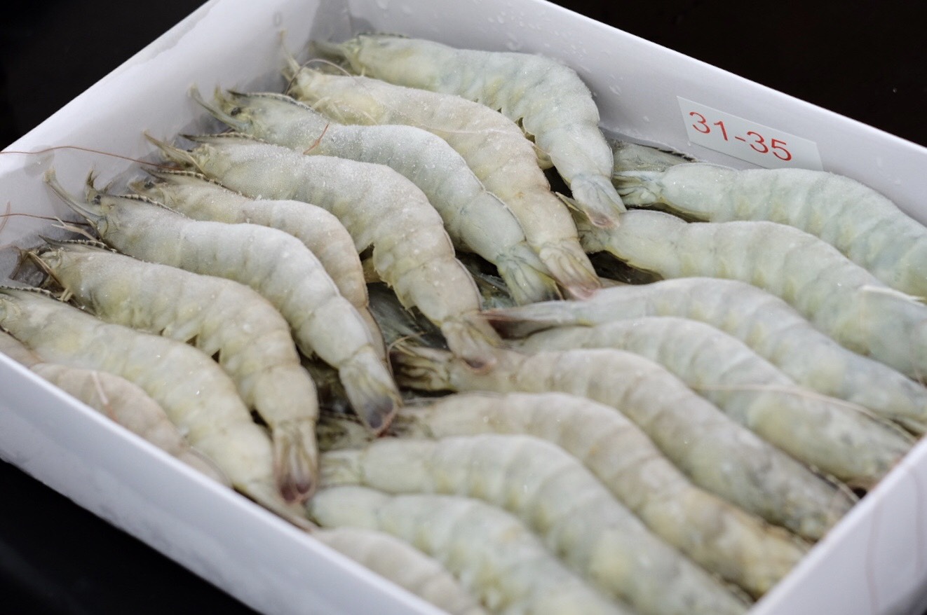 Giai đoạn 2012 - 2019 Trung Quốc và Mỹ trở thành hai quốc gia hàng đầu về nhập khẩu tôm trên thế giới