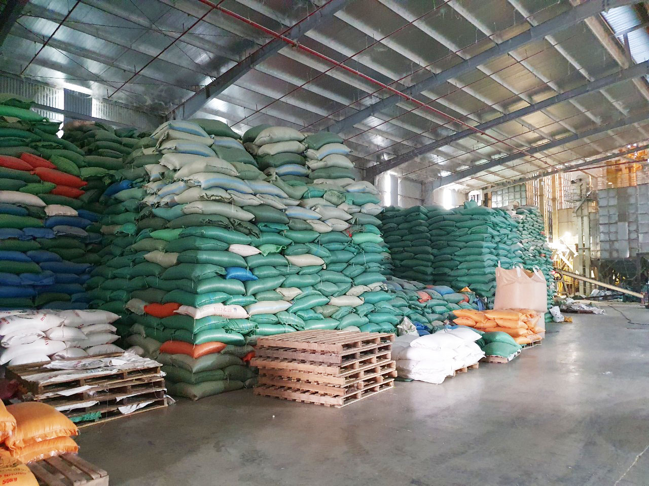 Chính phủ hỗ trợ Sơn La hơn 59 tấn gạo kỳ giáp hạt đầu năm 2021