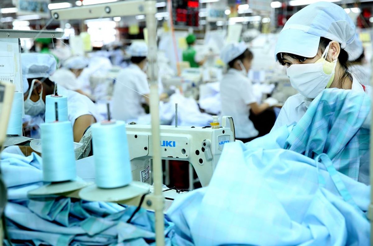 PTG trả cổ tức đợt 12021 bằng tiền mặt tỷ lệ 20%