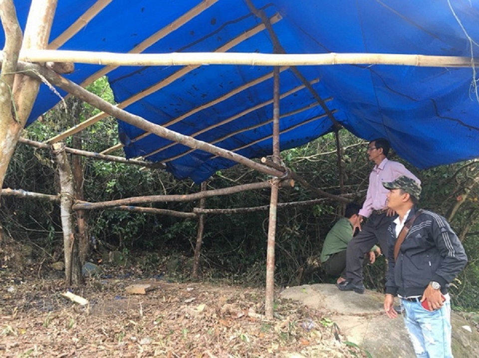 Bình Định Cán bộ bảo vệ rừng bị hành hung vô cớ