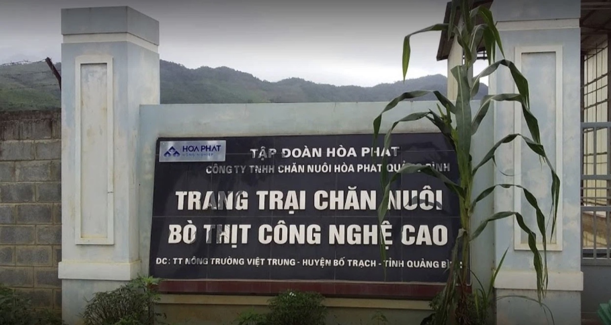 Một công ty liên doanh với Hòa Phát để nuôi bò sắp lên sàn chứng khoán