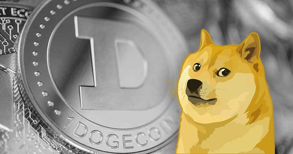 Một nhà đầu tư bí ẩn đang sở hữu 28% lượng Dogecoin