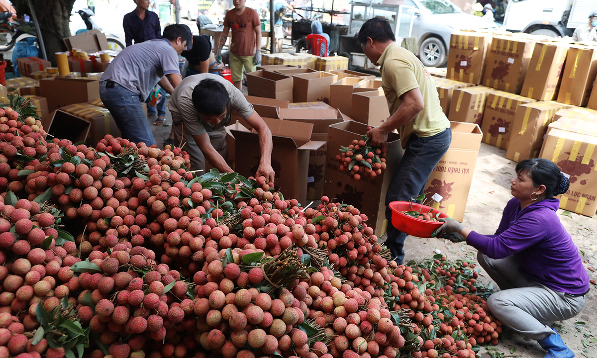 5 doanh nghiệp xuất khẩu vải thiều sang Nhật Bản