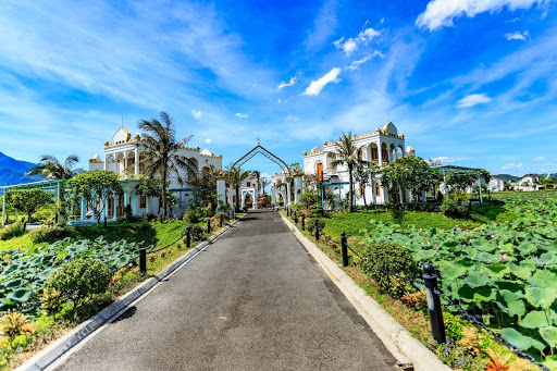 TIG lên kế hoạch trả cổ tức tỷ lệ 10%