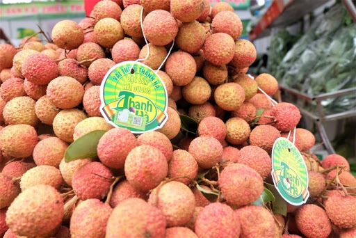 Kết nối, xúc tiến tiêu thụ vải thiều Thanh Hà và nông sản tiêu biểu tỉnh Hải Dương