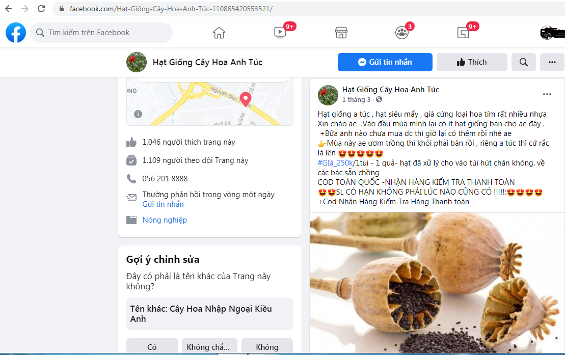 Ngang nhiên rao bán hạt giống hoa anh túc trên mạng