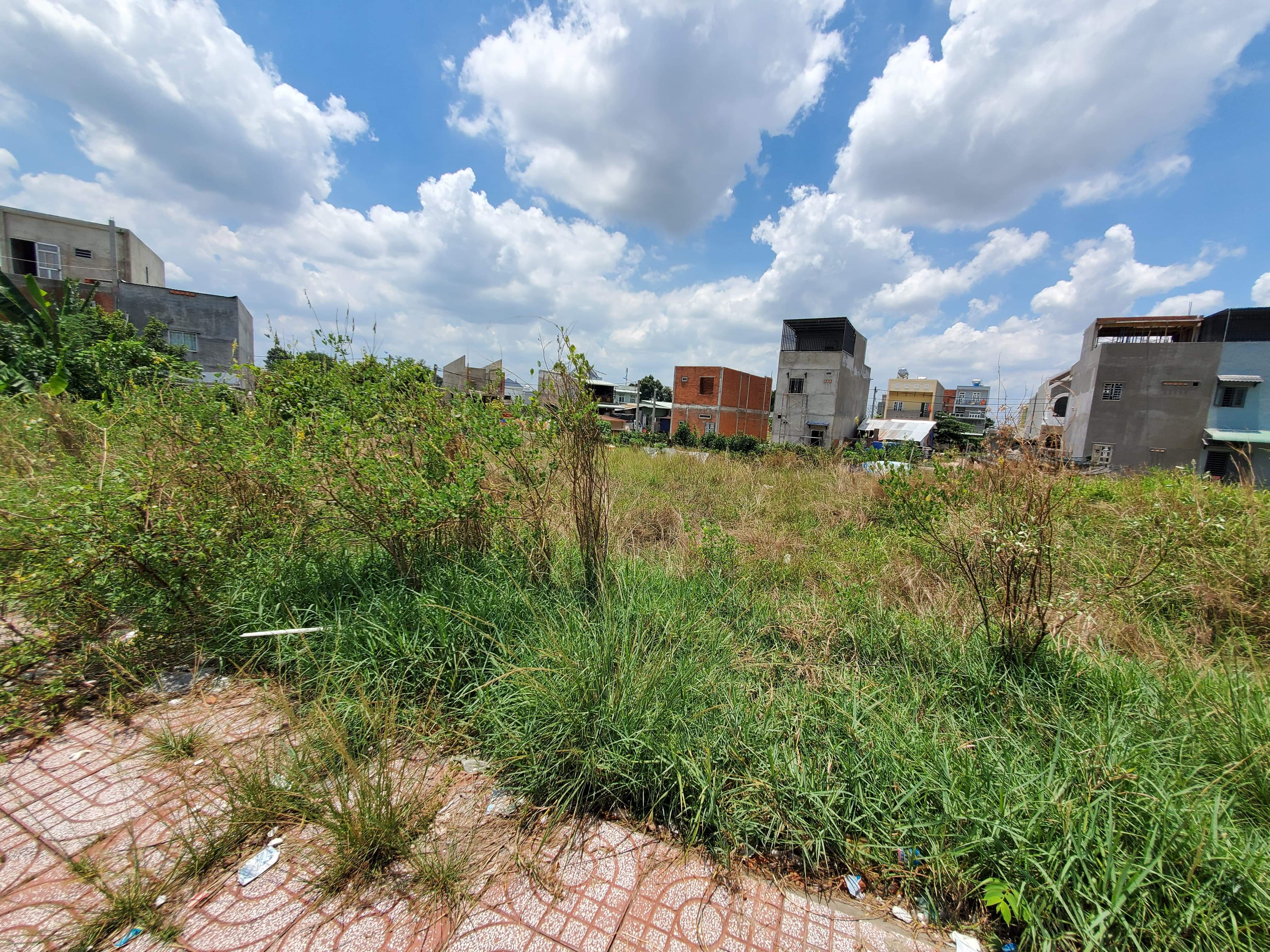 Bình Dương Khách hàng “kêu trời” vì mua đất hơn 10 năm mà chưa được giao sổ đỏ