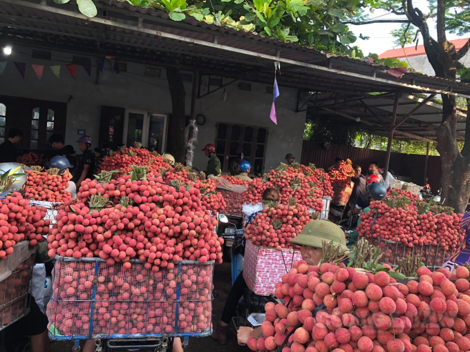 Bắc Giang đề nghị hỗ trợ lưu thông hàng hóa, tiêu thụ nông sản
