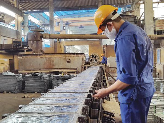 TMG chia cổ tức bằng tiền mặt tỷ lệ 23%