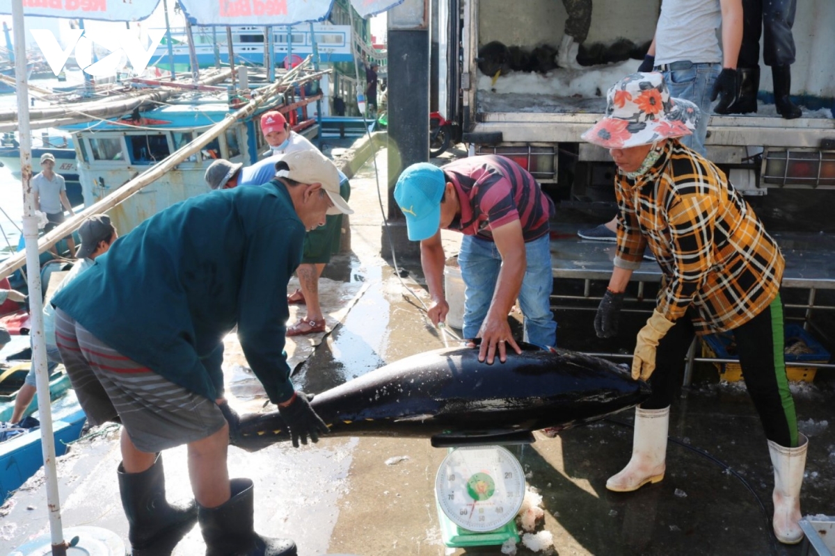 Xuất khẩu cá ngừ tăng 15% trong 4 tháng đầu năm 2021