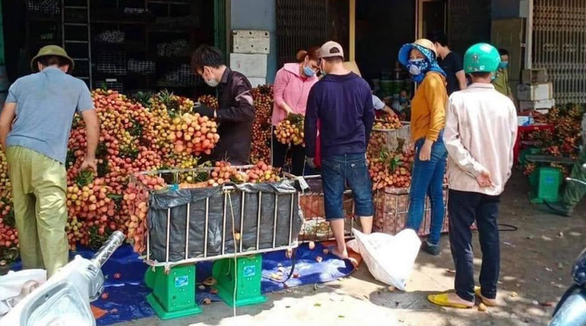 Xác minh thông tin thương lái ép giá thu mua 2.000kg vải thiều Lục Ngạn