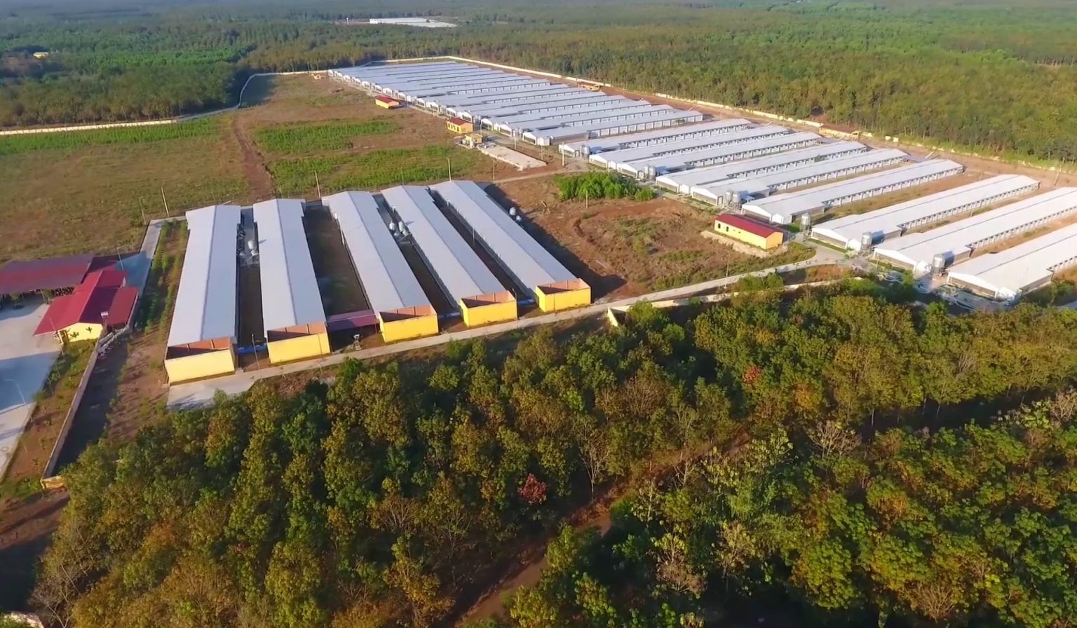 Phiên giao dịch 285 Cổ phiếu DBC tăng kịch trần