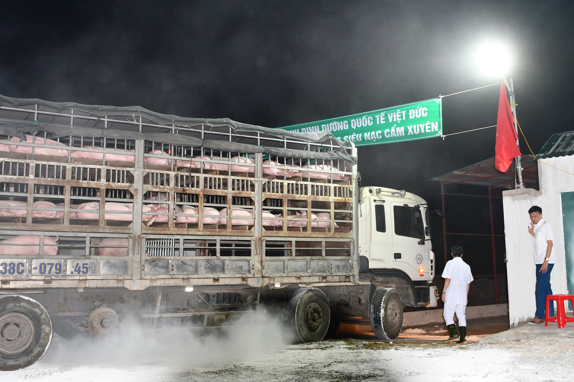 Việt Nam ngưng nhập khẩu lợn sống từ Thái Lan để chặn dịch tả heo châu Phi