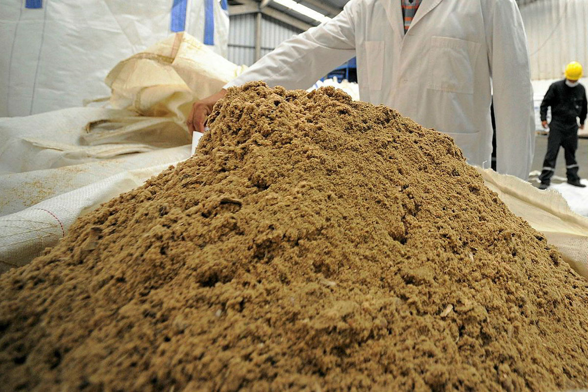 Việt Nam là thị trường đứng thứ hai cung cấp bột cá cho Trung Quốc trong bối cảnh giá tăng mạnh