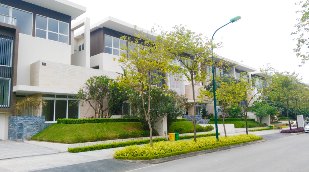 HoSE chuẩn bị đưa cổ phiếu TGG vào diện cảnh báo