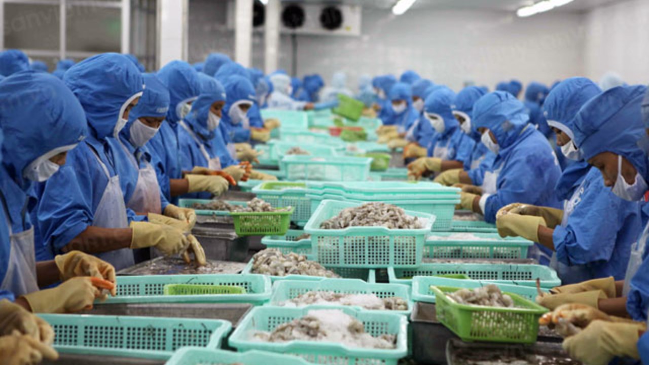 Kinh doanh tôm hiệu quả. doanh số Sao Ta tiếp tục tăng trưởng trong tháng 52021