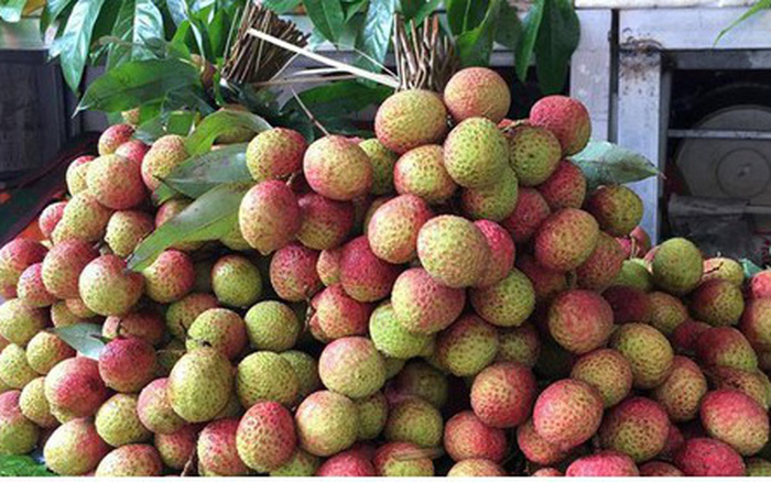 Vải tươi Việt Nam phân phối rộng rãi trên nhiều bang của Australia