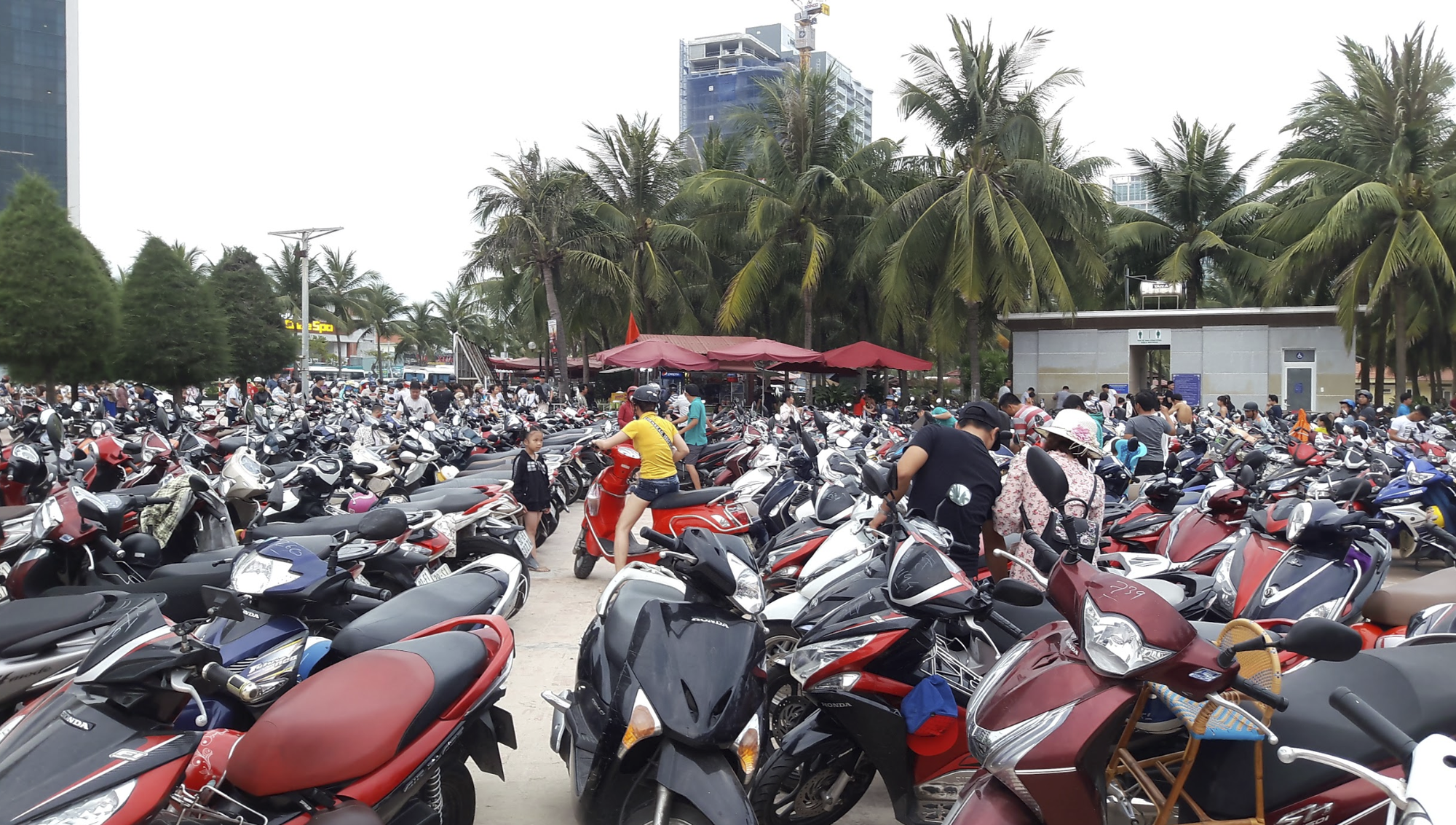 Đà Nẵng Đấu giá 13 khu đất xây dựng bãi đỗ xe công cộng