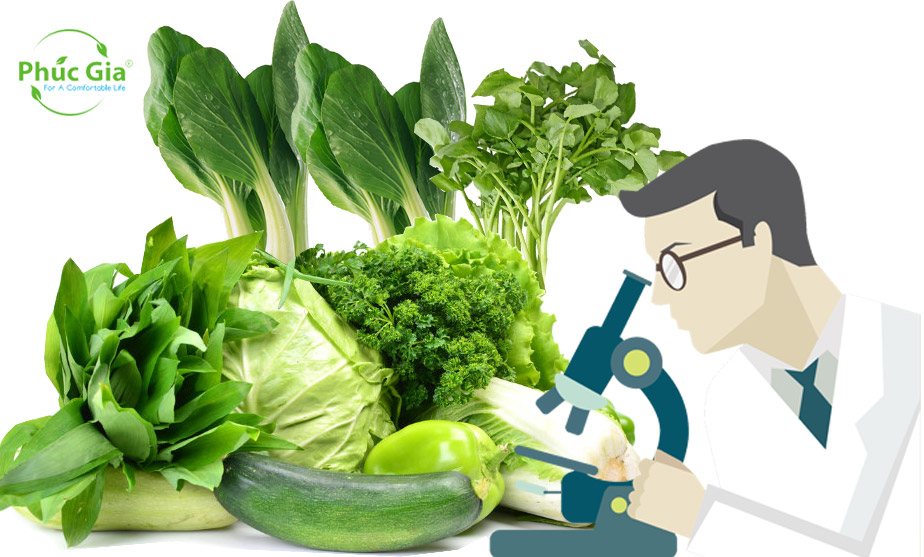 Khi nào được miễn phí kiểm dịch thực vật