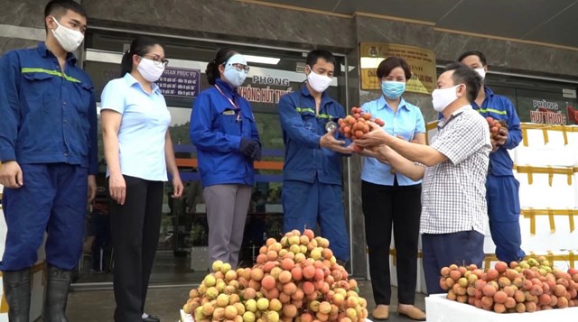 TKV hỗ trợ tiêu thụ vải thiều tại Bắc Giang