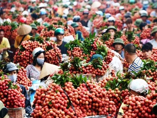 Bộ Công Thương tìm hướng tiêu thụ nông sản cho Bắc Giang