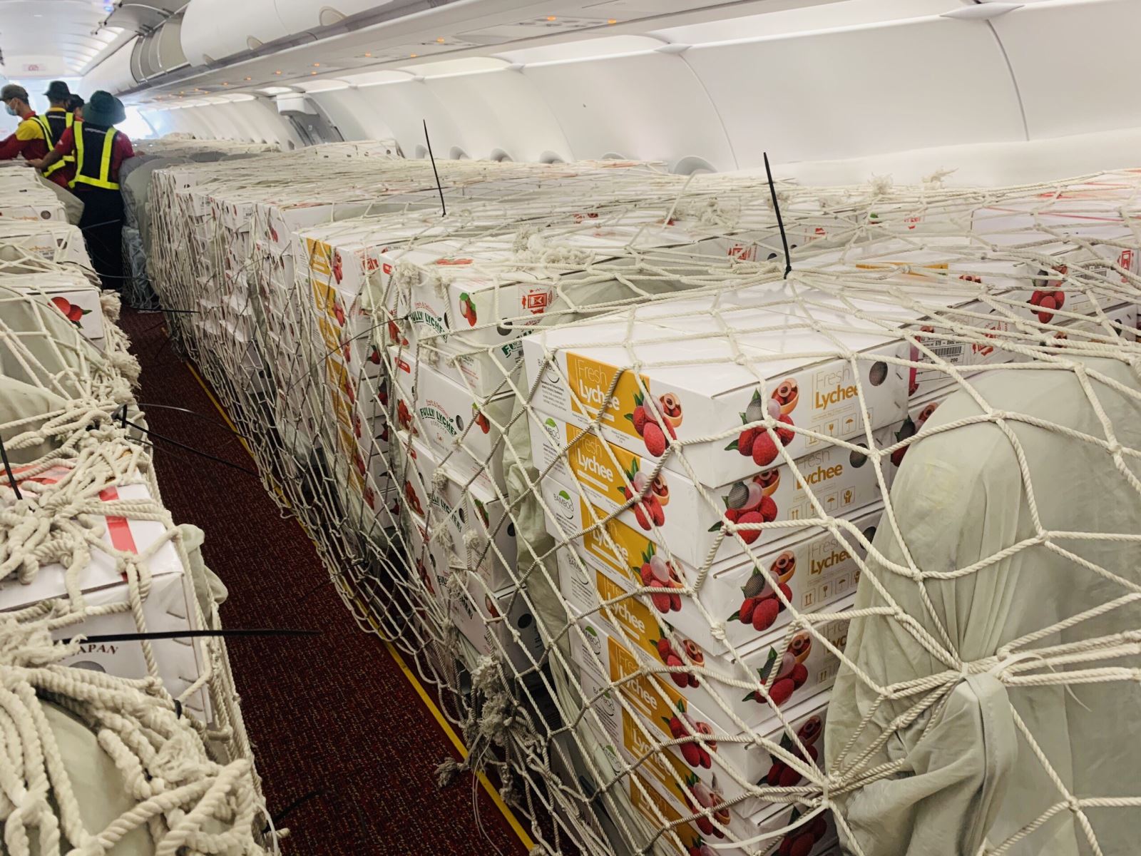 Dành trọn chuyến bay đưa vải thiều Bắc Giang sang thị trường Nhật Bản