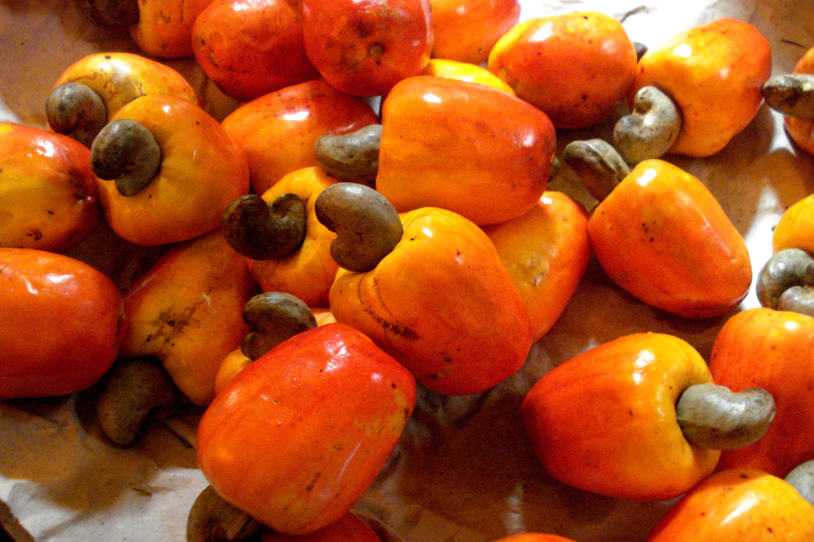 Nhập khẩu điều tăng cao nhất sau hơn thập một thập kỷ