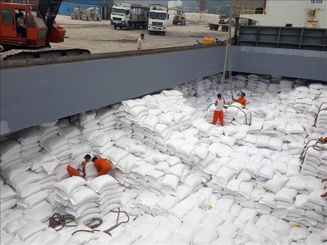 Xuất khẩu gạo giảm cả giá và lượng