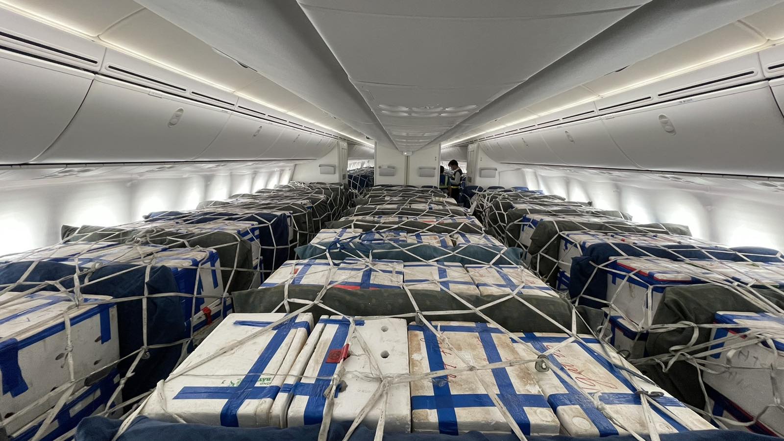 Bộ GTVT đề nghị hàng không giảm giá cước vận chuyển vải thiều Bắc Giang