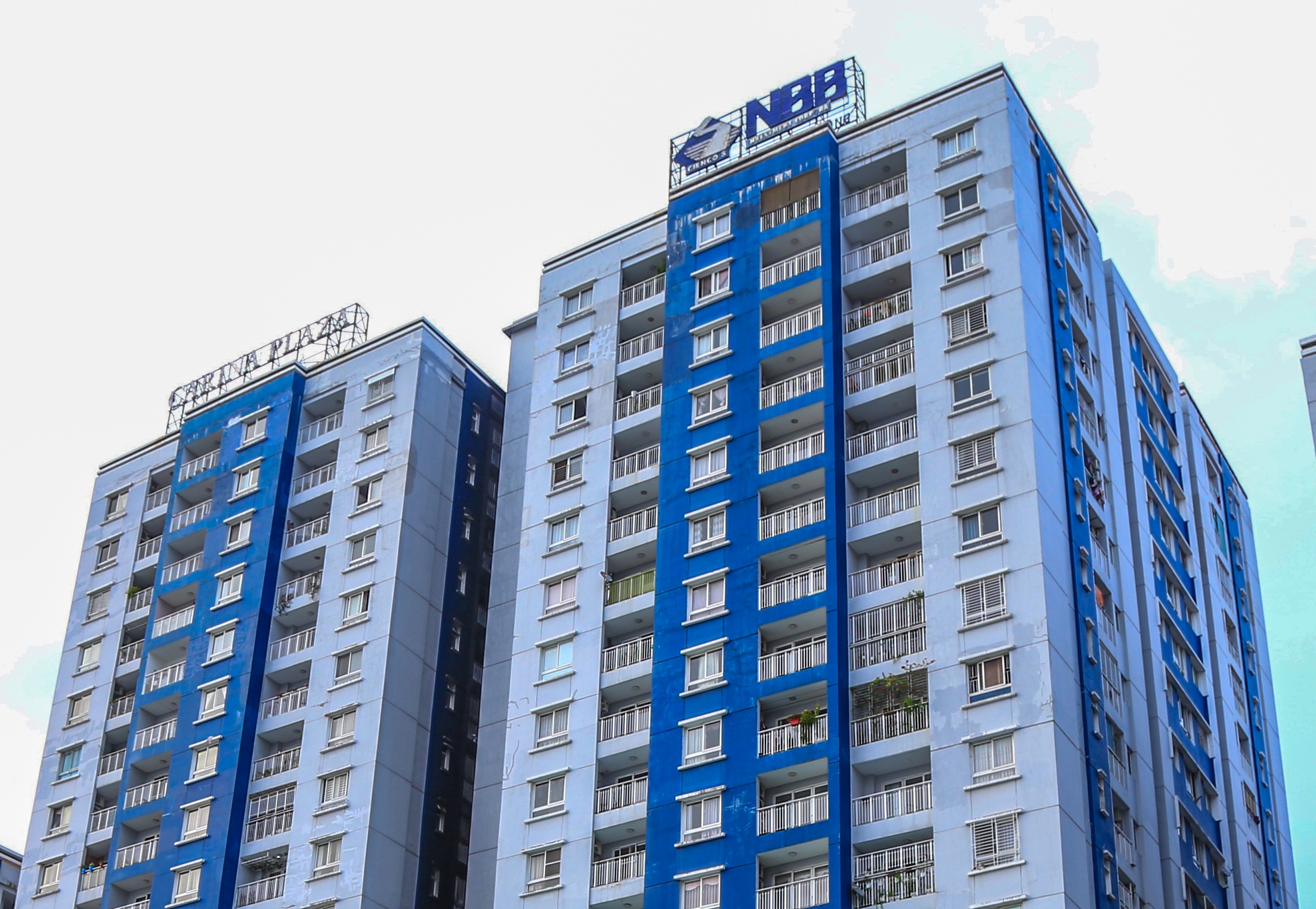 Năm Bảy Bảy dùng toàn bộ cổ phiếu quỹ chia cho cổ đông