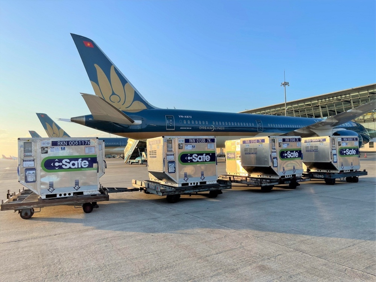 Hoả tốc chuyển 1 triệu liệu vaccine do Nhật Bản hỗ trợ vào TP HCM