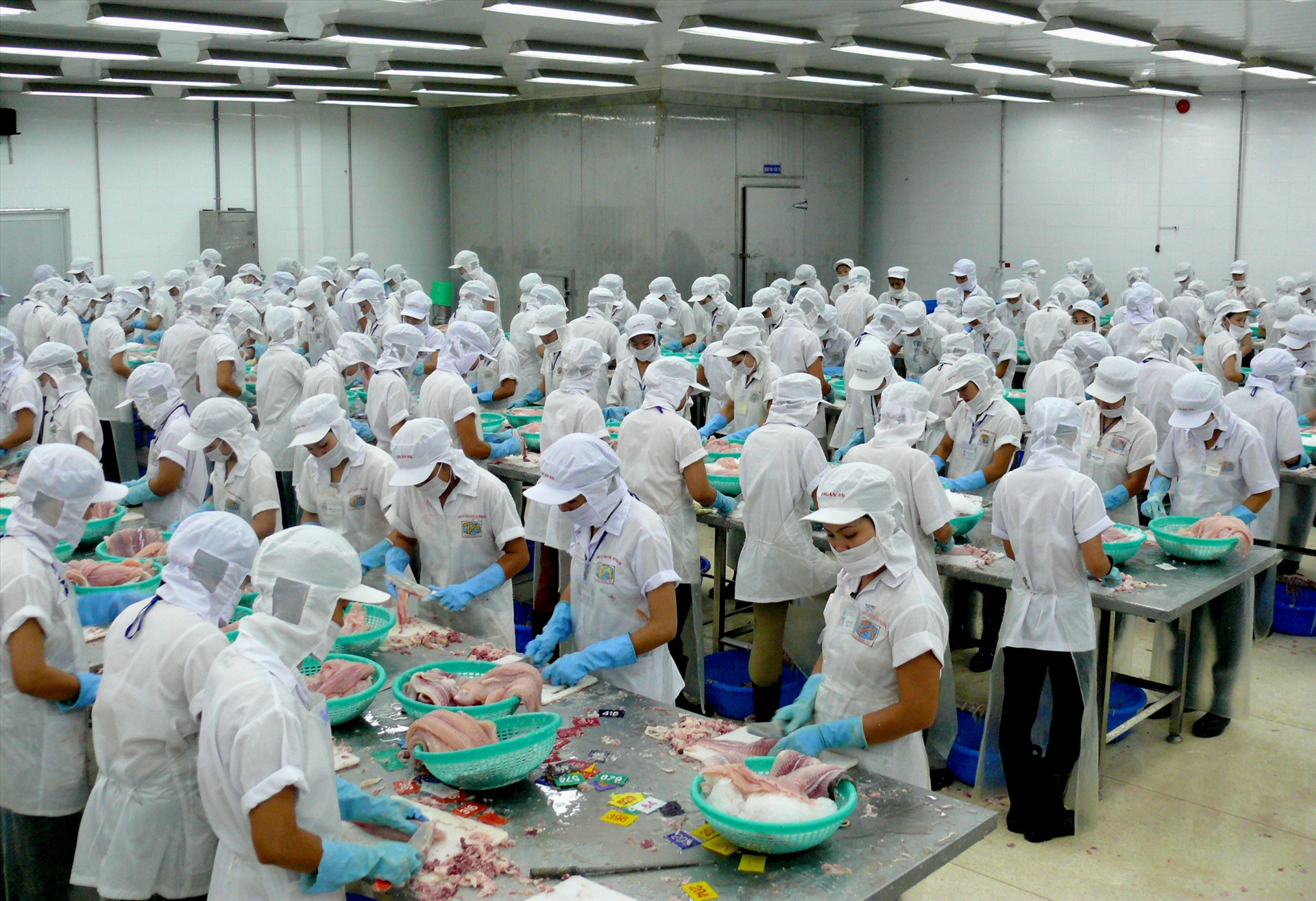 Xuất khẩu thuỷ sản sang Trung Quốc tiếp tục giảm do ảnh hưởng của dịch Covid-19