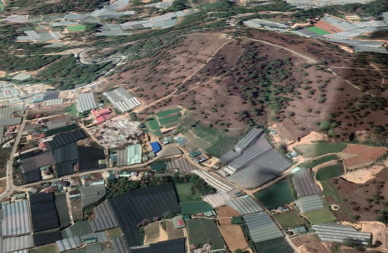 Lâm Đồng Đề xuất cho doanh nghiệp bất động sản khảo sát dự án 165 ha trên rừng phòng hộ