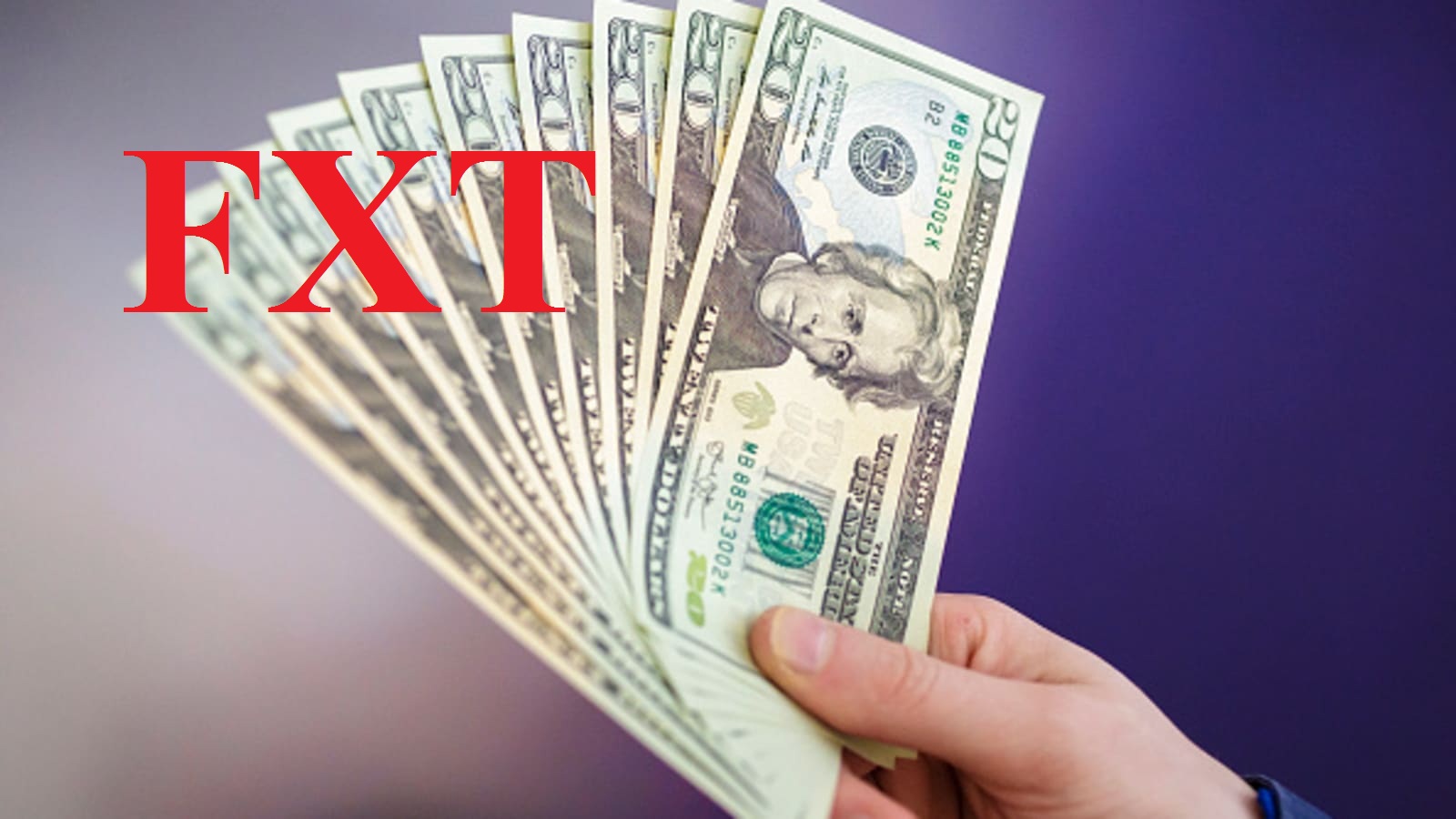 Thêm một sàn giao dịch ngoại hối bị đánh sập