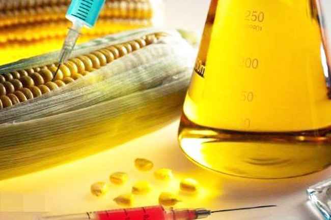 Gia hạn điều tra CBPG đường lỏng chiết xuất từ tinh bột ngô xuất xứ Trung Quốc và Hàn Quốc