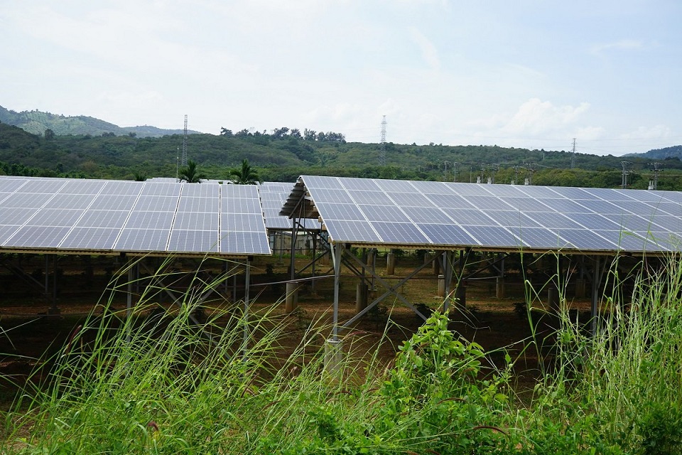Điện mặt trời núp bóng nông nghiệp Vẽ một đằng, làm một nẻo