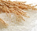Giá lúa gạo hôm nay 3/7 Giá gạo nguyên liệu tăng và giá phụ phẩm giảm 