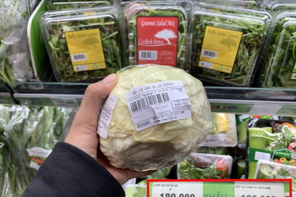 Sở Công Thương TP HCM lên tiếng vụ bắp cải giá 120.000 đồng