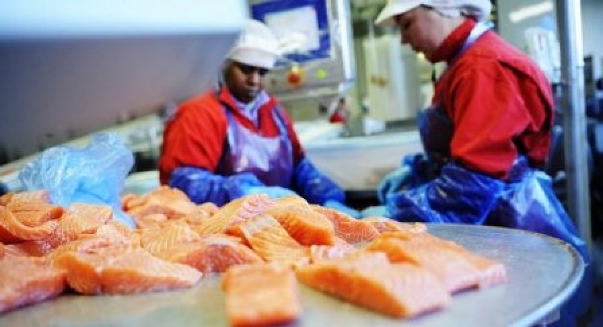 Xuất khẩu thủy sản của Na Uy nửa đầu năm 2021 đạt 6,3 tỷ USD