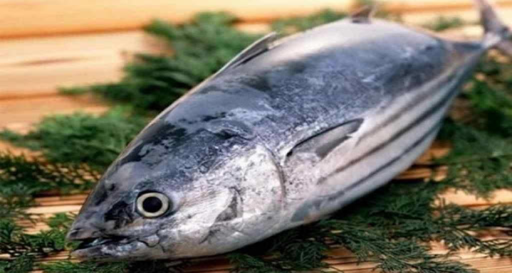 Sau lệnh cấm FAD giá cá ngừ vằn Bangkok bất ngờ tăng mạnh