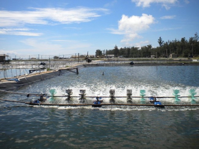 Hỗ trợ tối đa 15 tỷ đồng mỗi dự án đầu tư nuôi trồng thủy sản